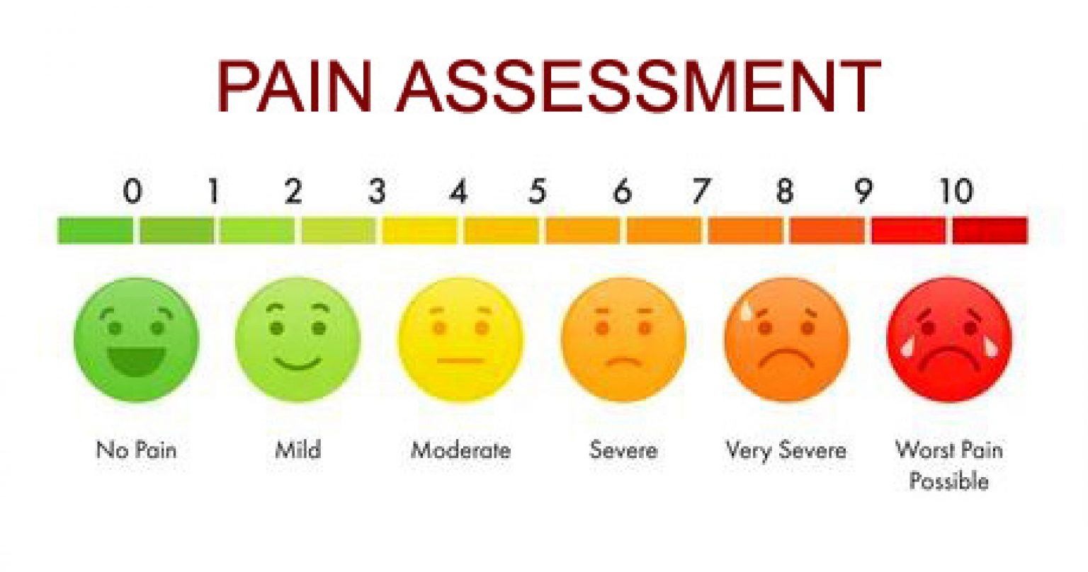 Cat Pain Score Pdf