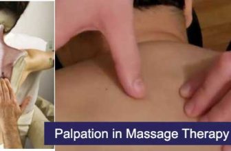 palpation