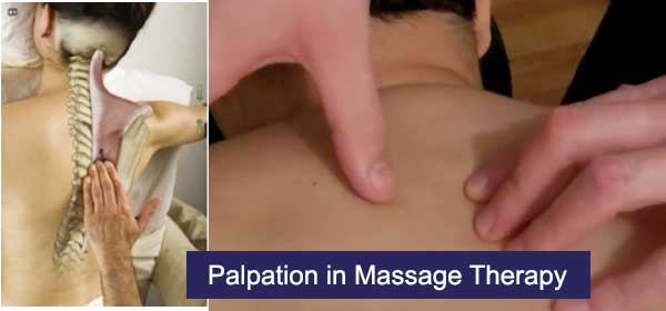 palpation